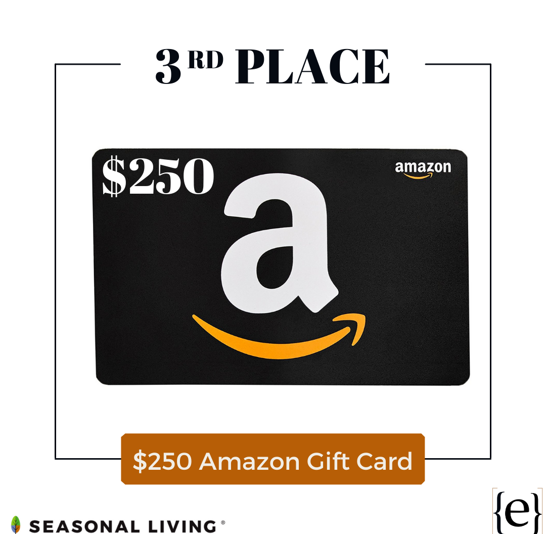 Seasonal Living Design Challenge announced in partnership with the eDesignTribe. Third place winner gets a $250.00 gift card to Amazon.