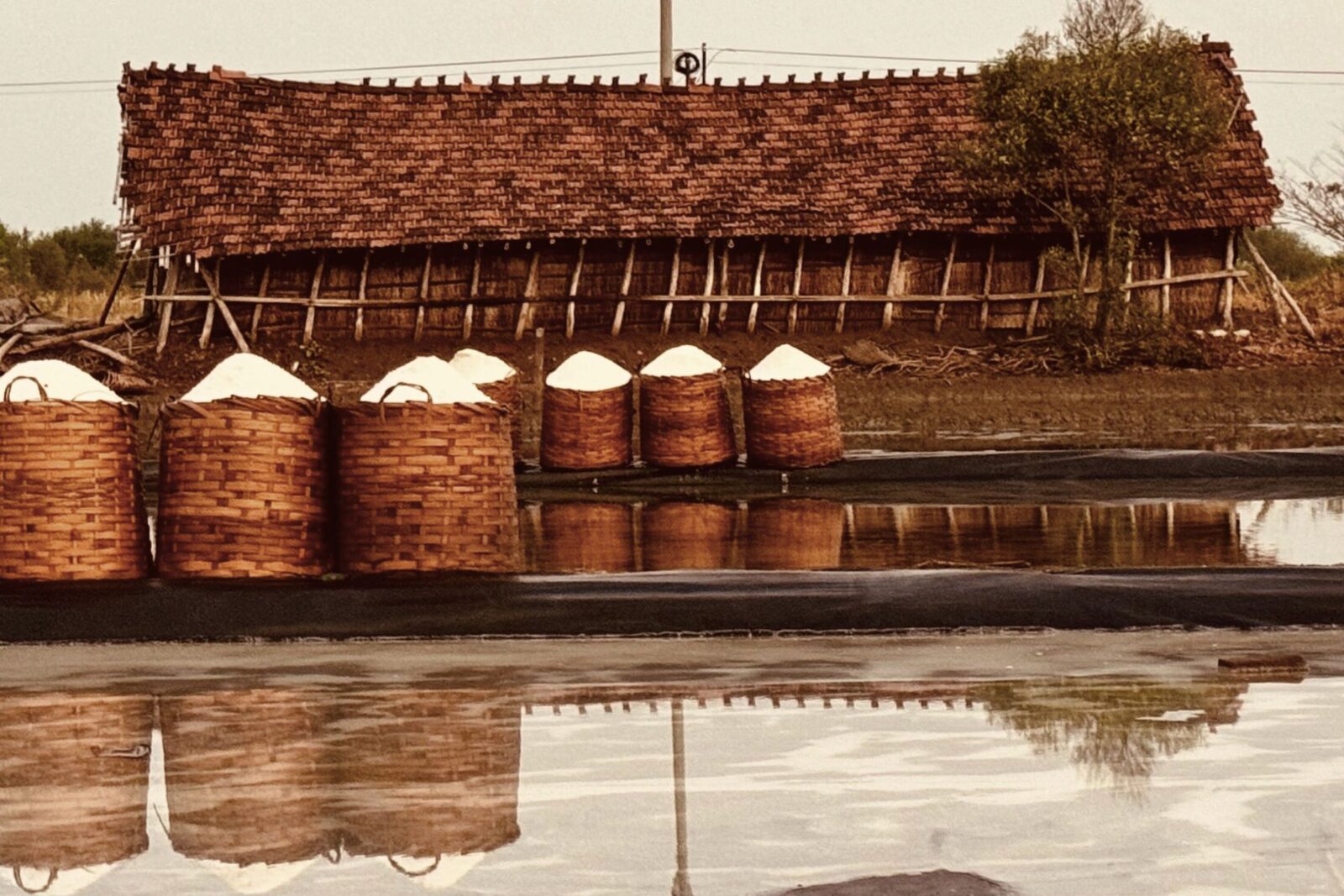 BLOG_VATERRA_SALT FLATS INDO